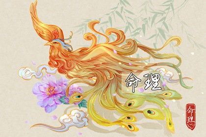 抽签八字算命,星尘八字测算,命里八字查询,八字算配偶年龄,八字看夫妻宫,命流年运程