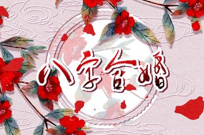 什么样的人更合拍