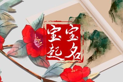 新生儿取名要点